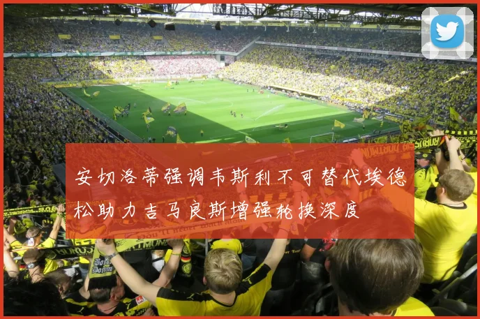 安切洛蒂强调韦斯利不可替代埃德松助力吉马良斯增强轮换深度