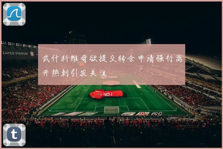 武什科维奇欲提交转会申请强行离开热刺引发关注