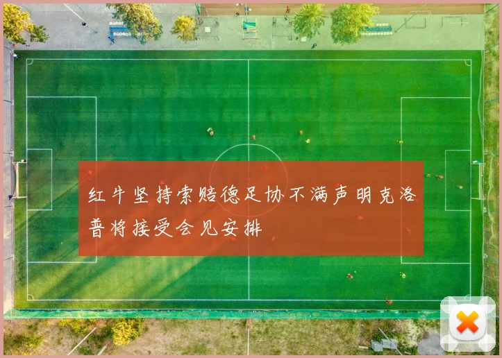 红牛坚持索赔德足协不满声明克洛普将接受会见安排
