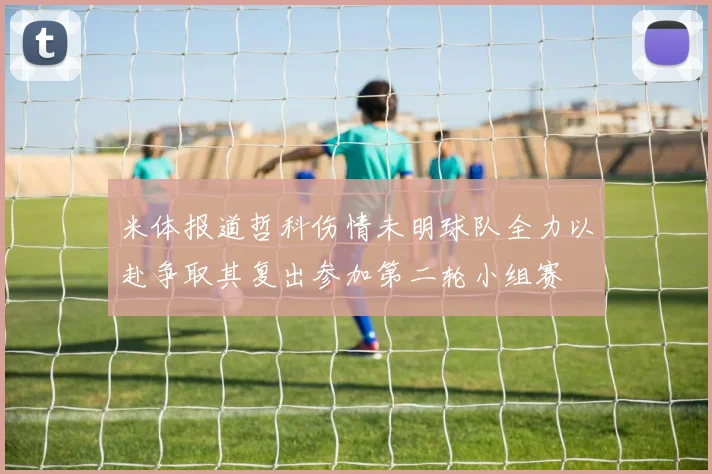 米体报道哲科伤情未明球队全力以赴争取其复出参加第二轮小组赛